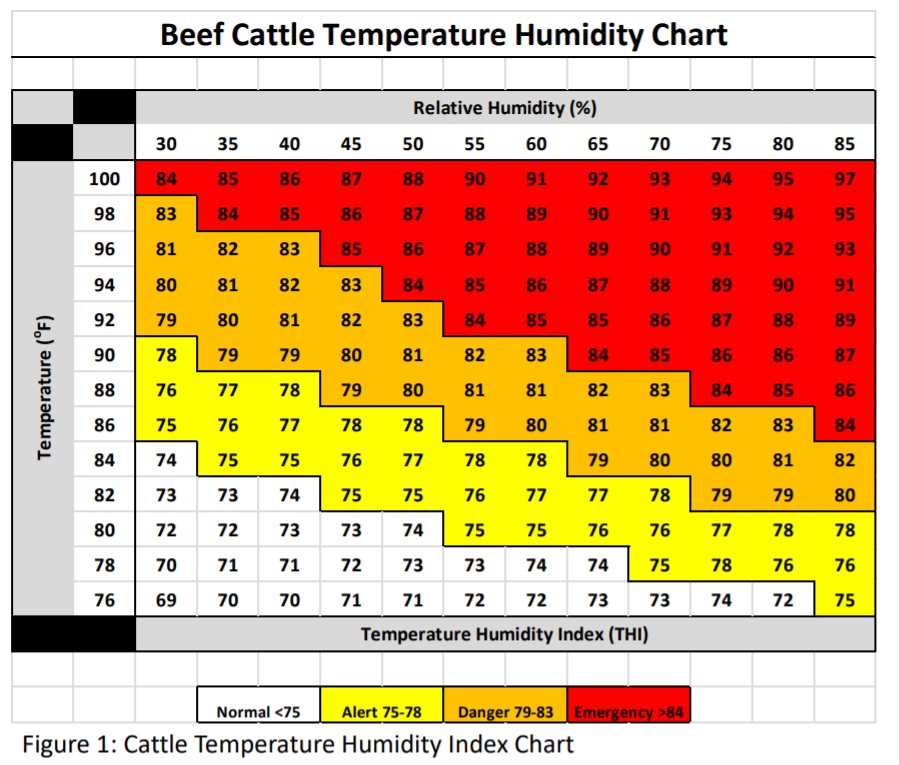 Cattle Temperature Humidity Index Chart 