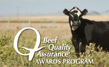 Beef Quality Assurance Awards Program