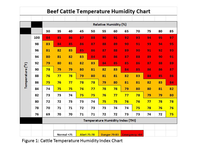 Beef cattle heat humidity index