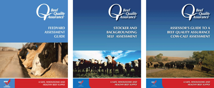 Covers of BQA Assessments