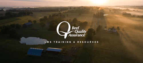 Beef Quality Assurance LMS Training and Resources