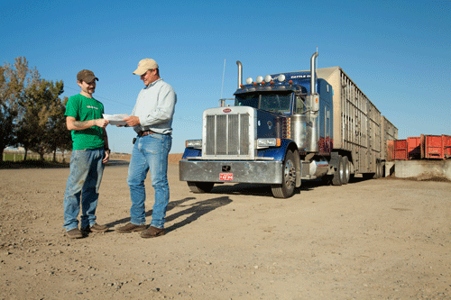 two truckers inspecting an invoice while standing in front of a semi